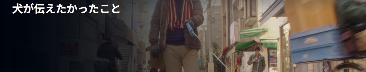 犬が伝えたかったこと/あらすじと感想